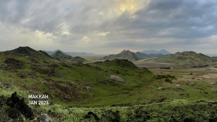 Pegunungan Makkah Al-Mukarramah di Arab Saudi yang dulunya tandus, kini menjadi dipenuhi oleh tumbuhan yang menjadi pegunungan itu menjadi hijau. (Facebook Haramain Sharifain)